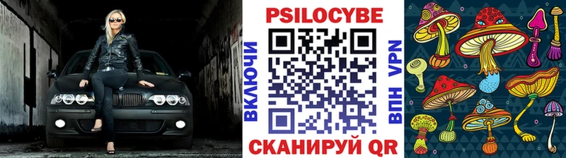 Купить  Брянск  Галлюциногенные грибы мухоморы 