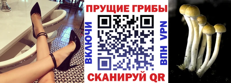 Галлюциногенные грибы MAGIC MUSHROOMS Брянск